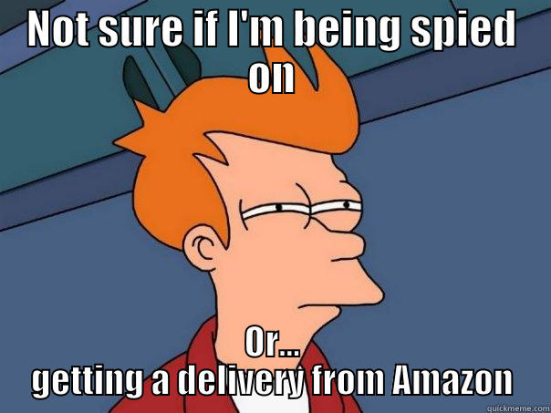 NOT SURE IF I'M BEING SPIED ON OR... GETTING A DELIVERY FROM AMAZON Futurama Fry