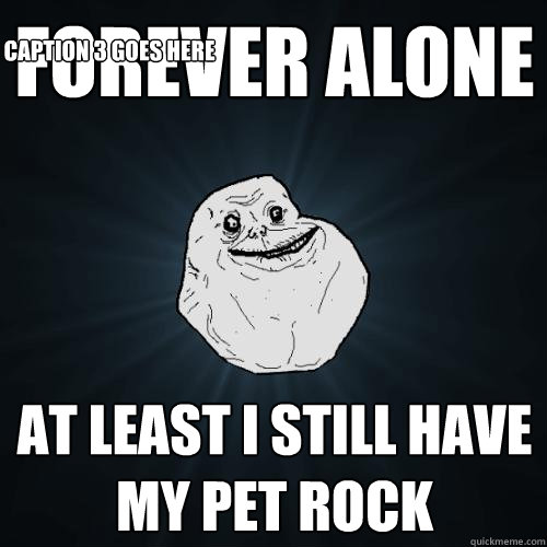FOREVER ALONE At least i still have my pet rock
 Caption 3 goes here  Forever Alone