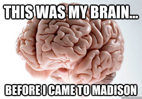This was my brain... before i came to Madison  Scumbag Brain