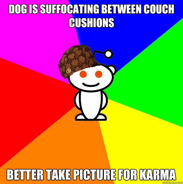 Dog is suffocating between couch cushions Better take picture for karma   Scumbag Redditor