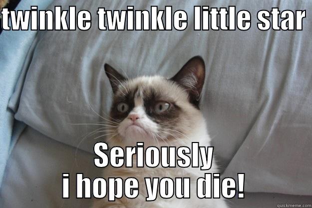 TWINKLE TWINKLE LITTLE STAR  SERIOUSLY I HOPE YOU DIE! Grumpy Cat