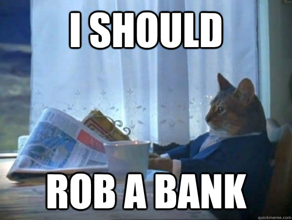 I should rob a bank - I should rob a bank  morning realization newspaper cat meme