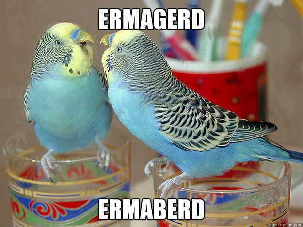 ermagerd ermaberd - ermagerd ermaberd  ermaberd