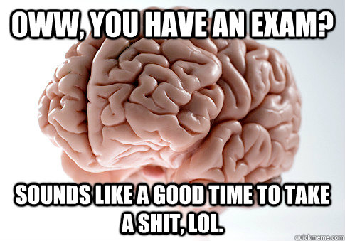 Oww, you have an exam? Sounds like a good time to take a shit, lol.  Scumbag Brain
