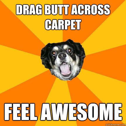 DRAG BUTT ACROSS CARPET FEEL AWESOME - DRAG BUTT ACROSS CARPET FEEL AWESOME  Misc