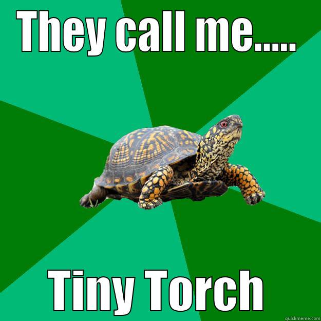THEY CALL ME..... TINY TORCH Torrenting Turtle