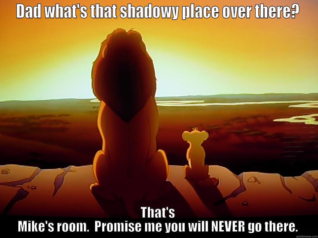 DAD WHAT'S THAT SHADOWY PLACE OVER THERE? THAT'S MIKE'S ROOM.  PROMISE ME YOU WILL NEVER GO THERE. Misc