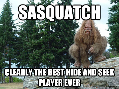 SASQUATCH Clearly the best hide and seek player ever - SASQUATCH Clearly the best hide and seek player ever  Misc