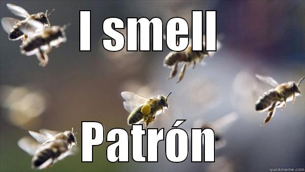 Bees <3 Tequila - I SMELL PATRÓN Hivemind bee