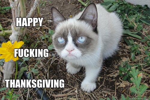 happy fucking thanksgiving - happy fucking thanksgiving  gRUMPY CAT FLOWER