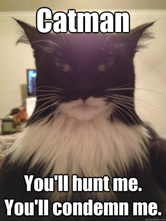 Catman You'll hunt me. You'll condemn me. - Catman You'll hunt me. You'll condemn me.  Catman