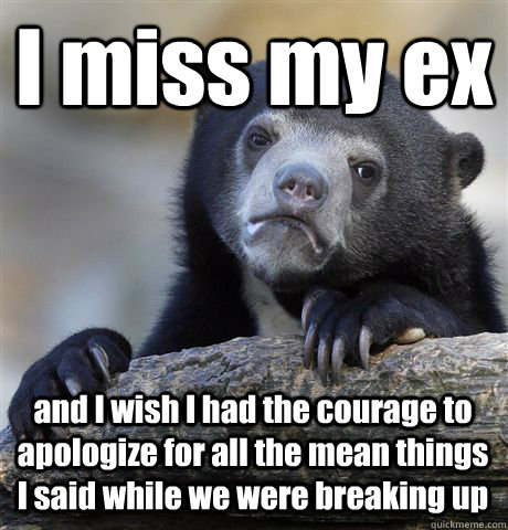 I miss my ex and I wish I had the courage to apologize for all the mean things I said while we were breaking up  Confession Bear
