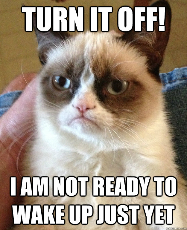 turn it off!  i am not ready to wake up just yet  Grumpy Cat