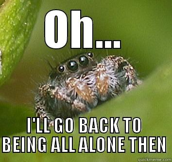 OH... I'LL GO BACK TO BEING ALL ALONE THEN Misunderstood Spider