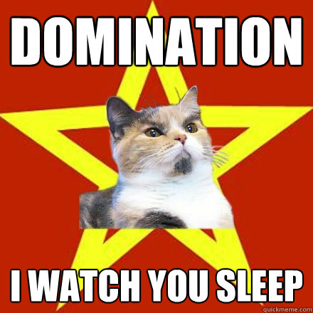 Domination i watch you sleep  Lenin Cat