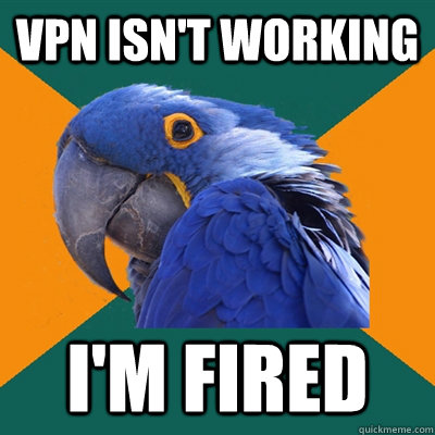 VPN isn't working I'm fired - VPN isn't working I'm fired  Paranoid Parrot