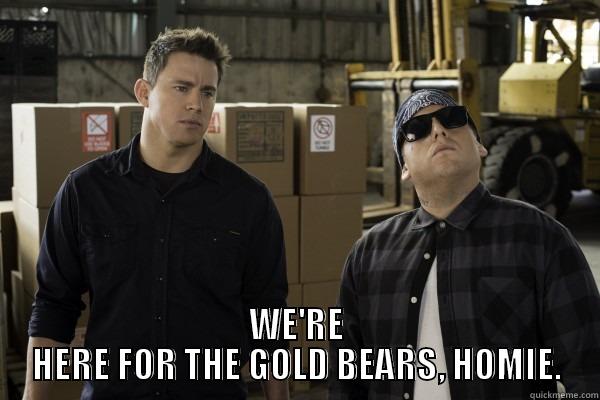  WE'RE HERE FOR THE GOLD BEARS, HOMIE. Misc