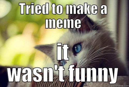 TRIED TO MAKE A MEME IT WASN'T FUNNY First World Problems Cat