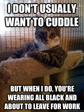 I don't usually want to cuddle but when I do, you're wearing all black and about to leave for work  The Most Interesting Cat in the World