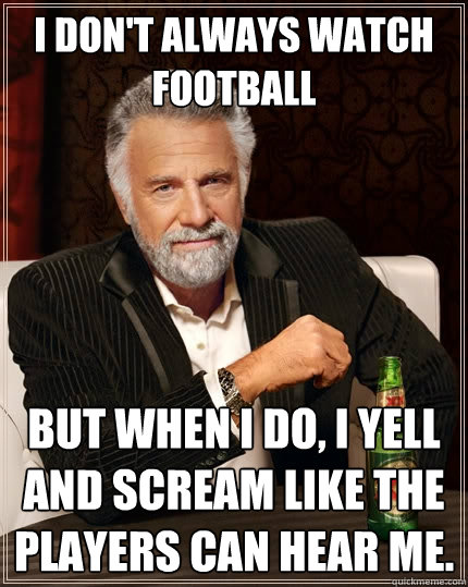 I don't always watch football but when I do, i yell and scream like the players can hear me.  The Most Interesting Man In The World