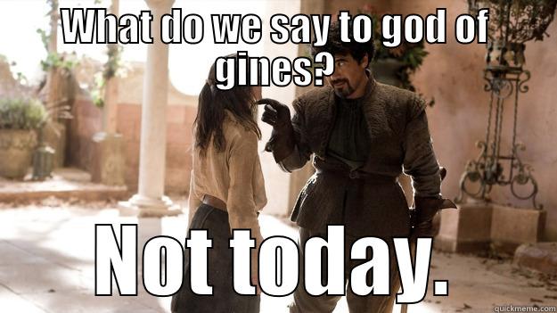 WHAT DO WE SAY TO GOD OF GINES? NOT TODAY. Arya not today