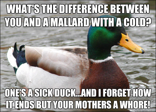 What's the difference between YOU and a mallard with a cold? One's a sick duck...and I forget how it ends but your mothers a whore!  - What's the difference between YOU and a mallard with a cold? One's a sick duck...and I forget how it ends but your mothers a whore!   Actual Advice Mallard