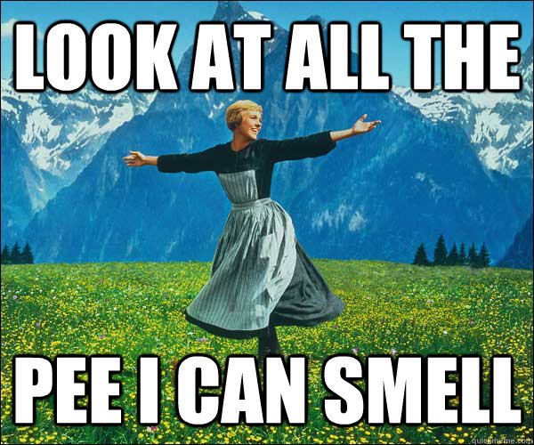 look at all the  Pee I can smell  Look At All The Fucks I Give