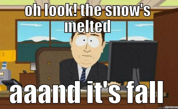 OH LOOK! THE SNOW'S MELTED AAAND IT'S FALL aaaand its gone