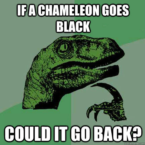 If A Chameleon Goes Black Could it go back?  Philosoraptor