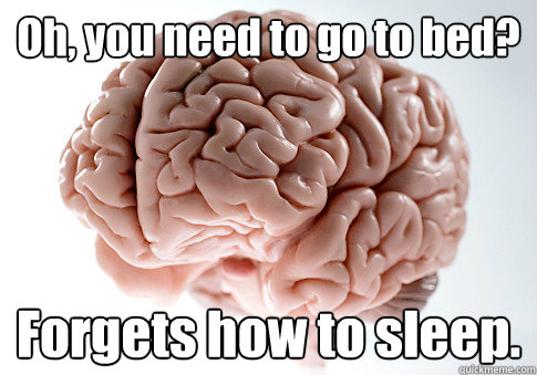 Oh, you need to go to bed? Forgets how to sleep.  Scumbag Brain