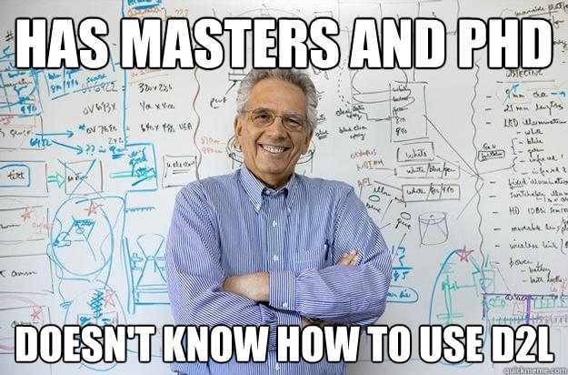 Has Masters and pHD Doesn't know how to use D2l  Engineering Professor