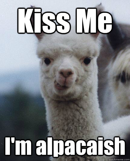 Kiss Me I'm alpacaish  ALPACA
