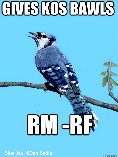 Gives KOS bawls rm -rf - Gives KOS bawls rm -rf  Blue Team Bird