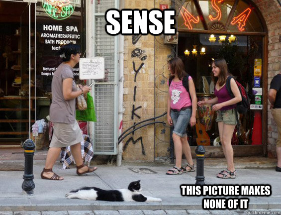 Sense This picture makes none of it - Sense This picture makes none of it  Misc