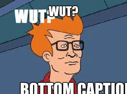 Wut? Bottom caption - Wut? Bottom caption  meme animal