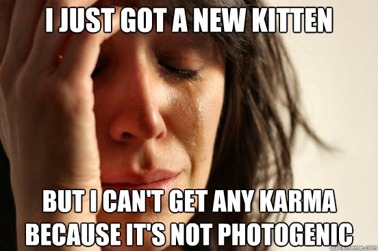 I just got a new kitten but i can't get any karma because it's not photogenic  First World Problems