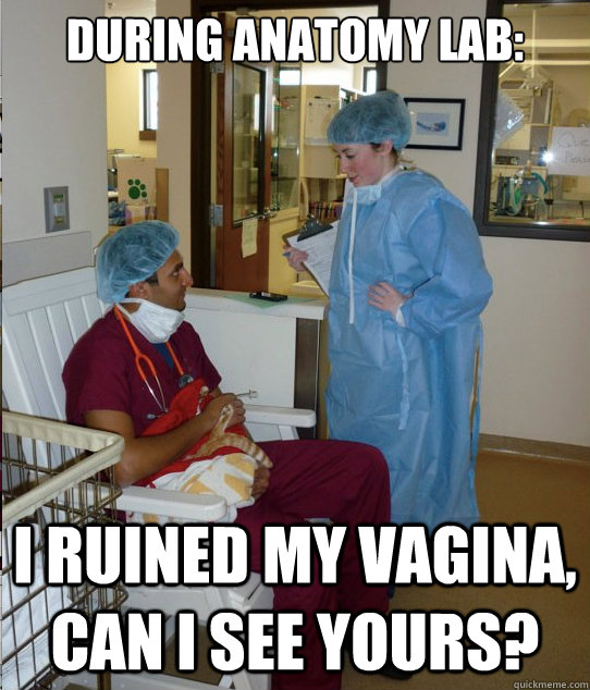 During anatomy lab: i ruined my vagina, can I see yours?  Overworked Veterinary Student