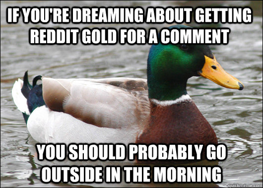 If you're dreaming about getting Reddit Gold for a comment You should probably go outside in the morning - If you're dreaming about getting Reddit Gold for a comment You should probably go outside in the morning  Actual Advice Mallard