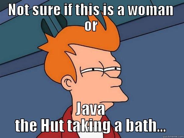 NOT SURE IF THIS IS A WOMAN OR JAVA THE HUT TAKING A BATH... Futurama Fry