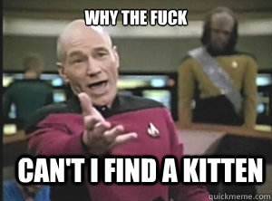 why the fuck can't i find a kitten - why the fuck can't i find a kitten  Annoyed Picard