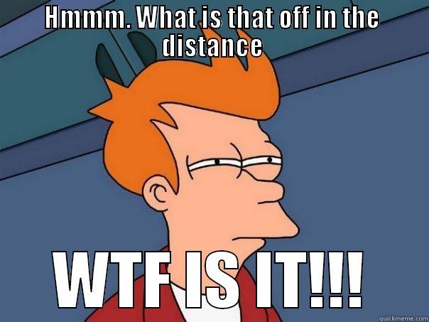 HMMM. WHAT IS THAT OFF IN THE DISTANCE WTF IS IT!!! Futurama Fry