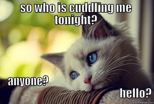 cuddle me - SO WHO IS CUDDLING ME TONIGHT? ANYONE?                                                                                                       HELLO? First World Problems Cat