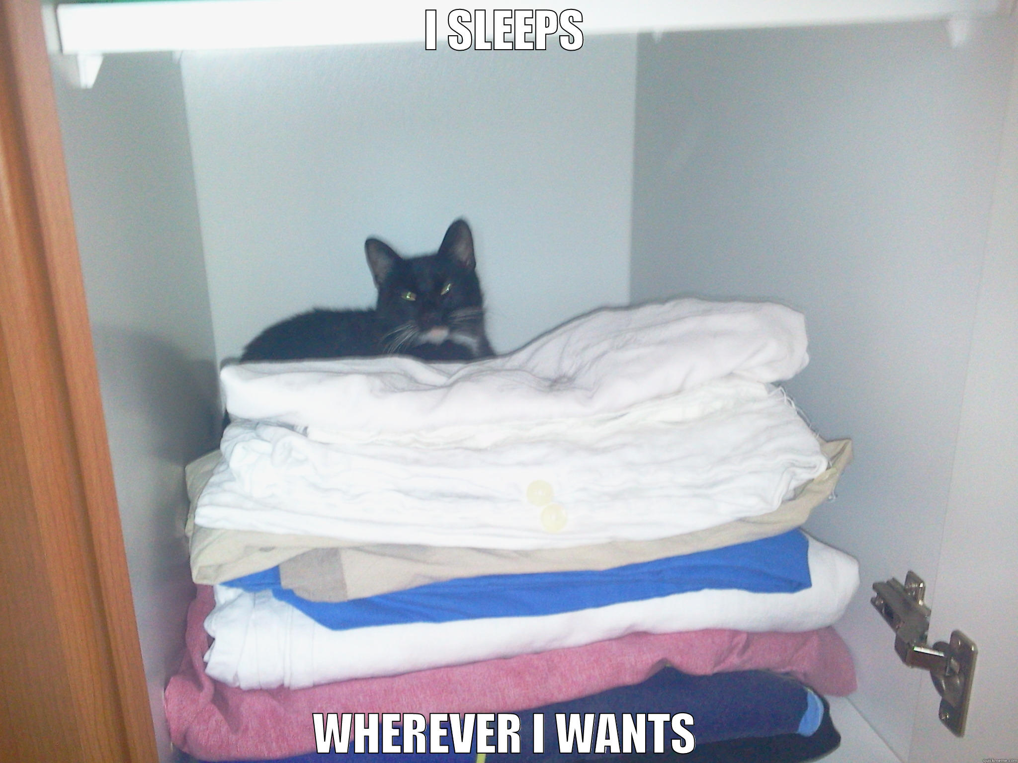 I SLEEPS WHEREVER I WANTS Socially Awkward Penguin