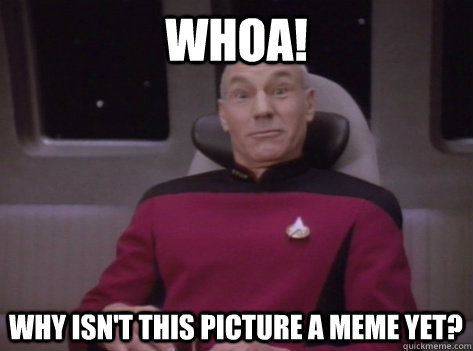 WHOA! Why isn't this picture a meme yet?  