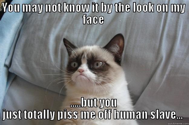 YOU MAY NOT KNOW IT BY THE LOOK ON MY FACE .....BUT YOU JUST TOTALLY PISS ME OFF HUMAN SLAVE...  Grumpy Cat