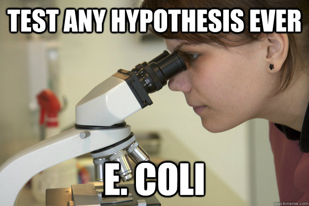 test any hypothesis ever e. coli  Biology Major Student