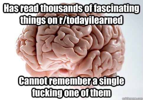 Has read thousands of fascinating things on r/todayilearned Cannot remember a single fucking one of them  Scumbag Brain