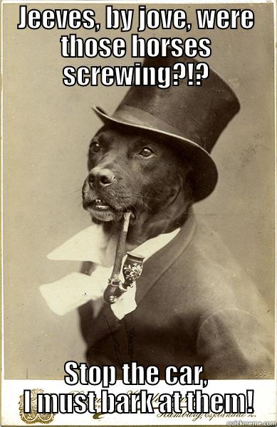 Horses screwing?!?! - JEEVES, BY JOVE, WERE THOSE HORSES SCREWING?!? STOP THE CAR,  I MUST BARK AT THEM! Old Money Dog