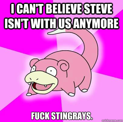 I can't believe Steve isn't with us anymore  Fuck stingrays.  Slowpoke