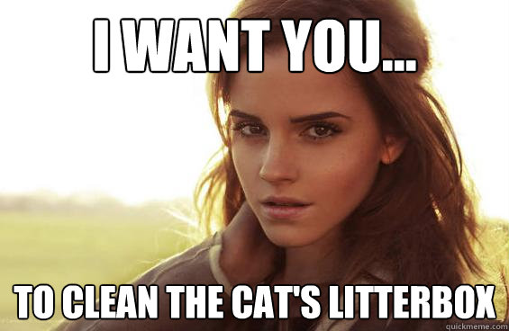 I want you... to clean the cat's Litterbox  